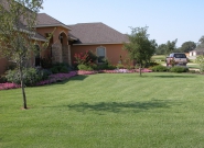 jamur-home-lawn-2