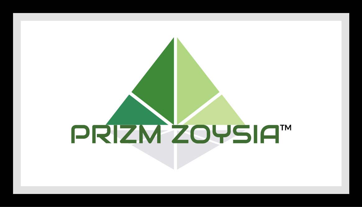 Prizm Zoysia