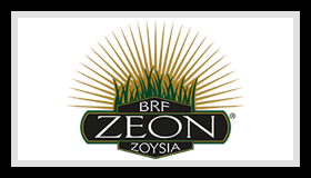 Zeon Zoysia