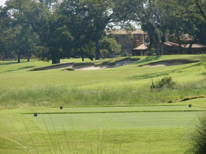 Where Zoysiagrass grows