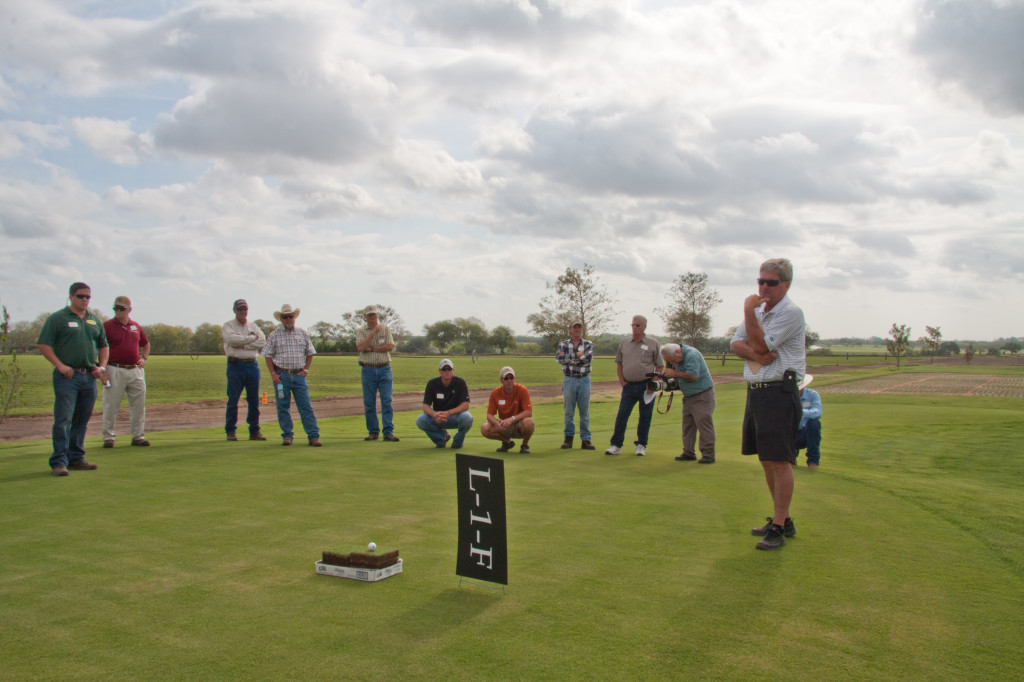 Bladerunner Farms L1F Zoysia