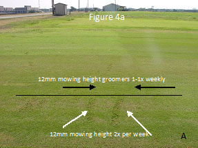 fig-4a