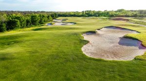 Trinity Zoysia developed in Texas